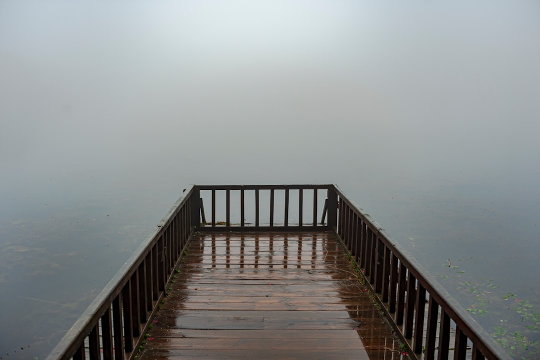 a wooden bridge over water