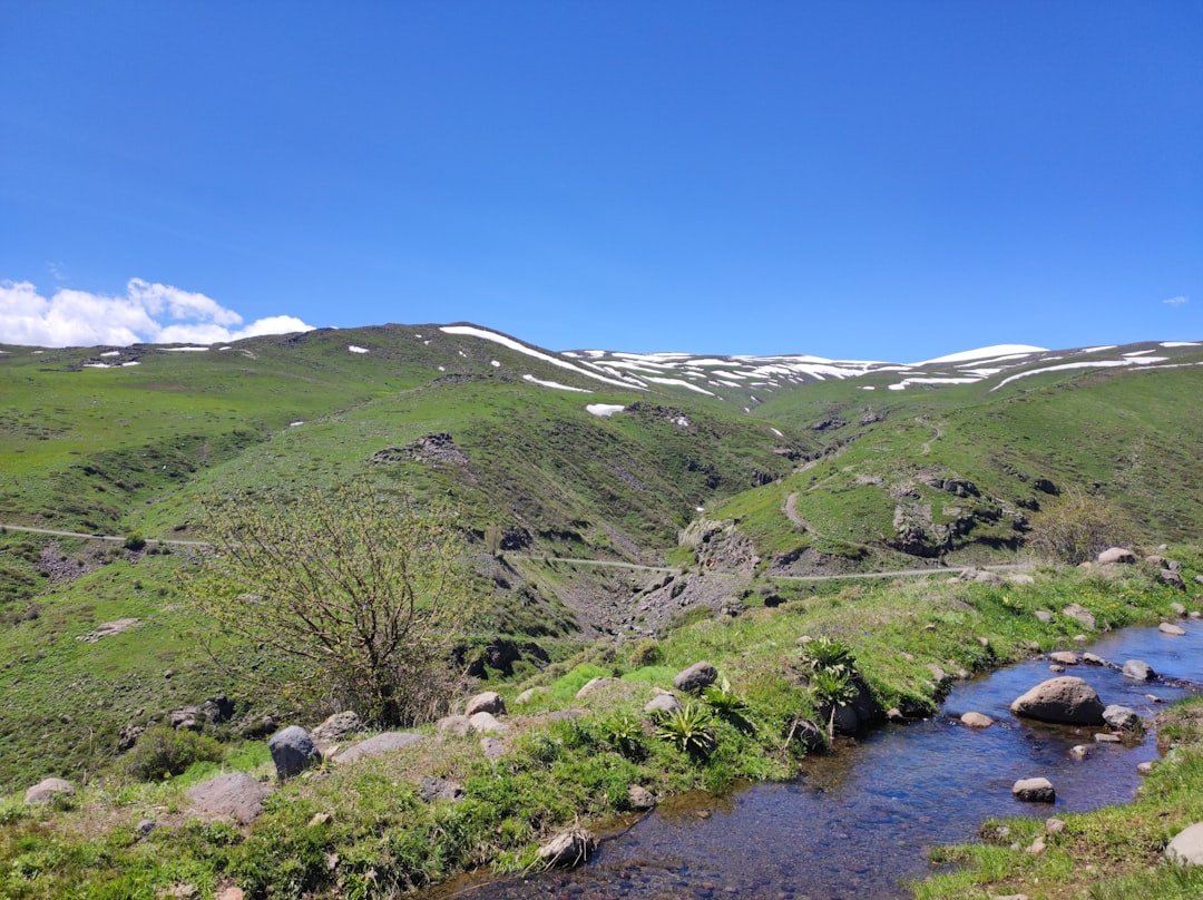 Die Tiefen des Schlafs: Eine psychoanalytische und neurowissenschaftliche Erkundung der Traumsymbolik von Quellwasser