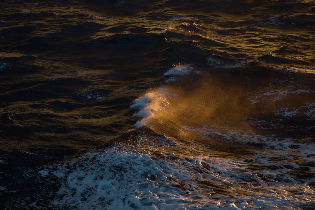 Die Gezeiten im Traum: Eine psychoanalytische und neurowissenschaftliche Deutung