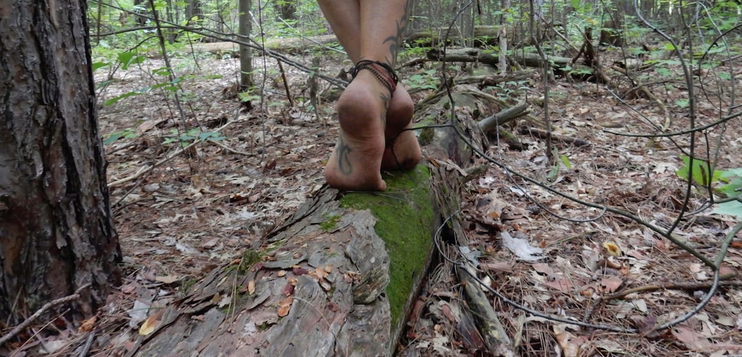 A person walking on a log in the woods