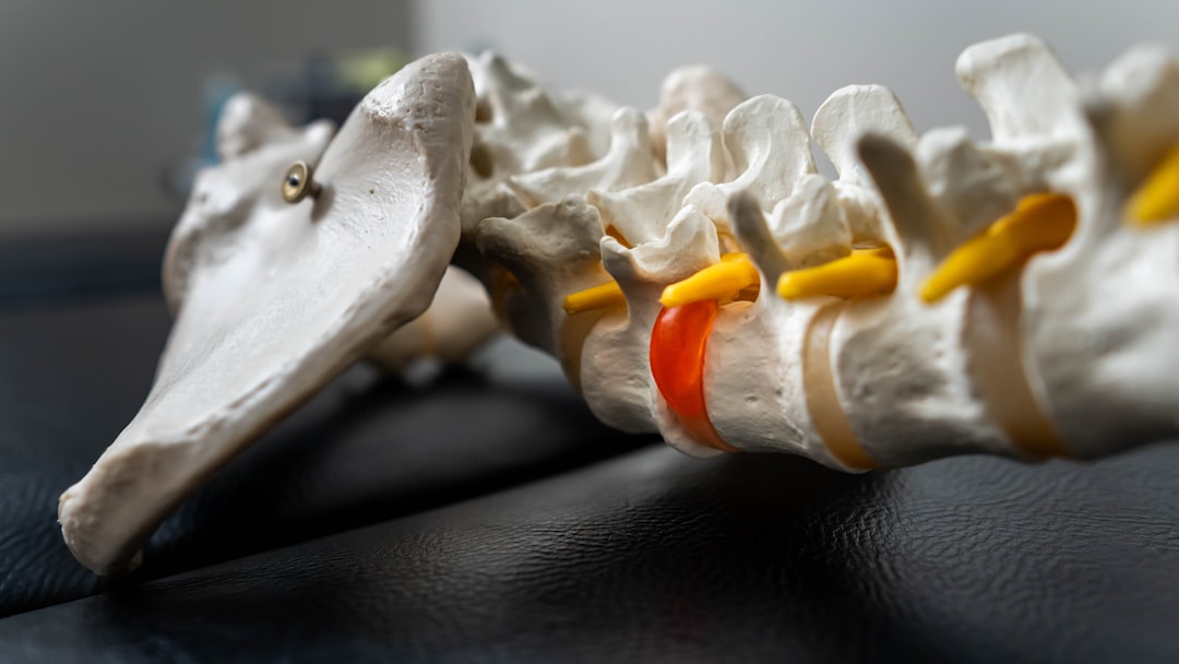 Der Rücken im Traum: Eine interdisziplinäre Analyse zwischen Psychoanalyse und Neurowissenschaft