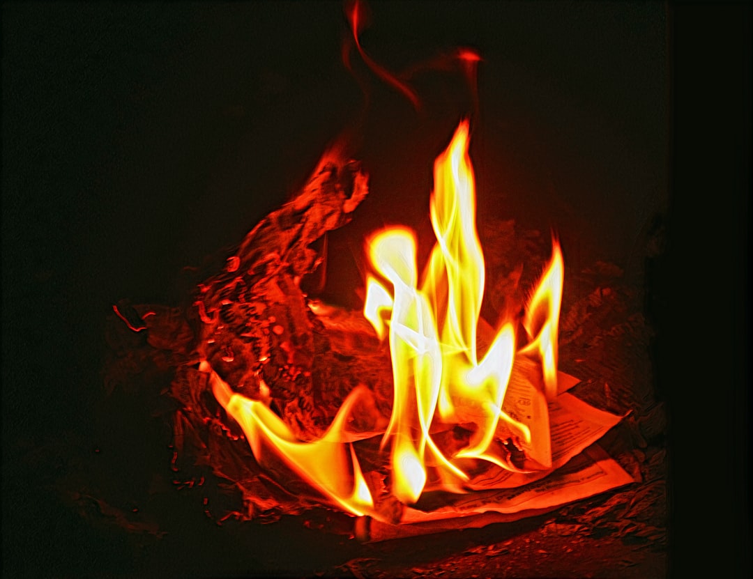 fire in the dark during night time