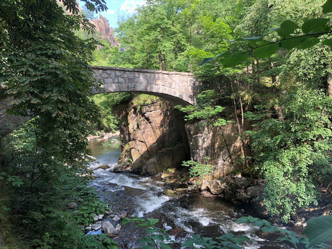 a bridge over a river