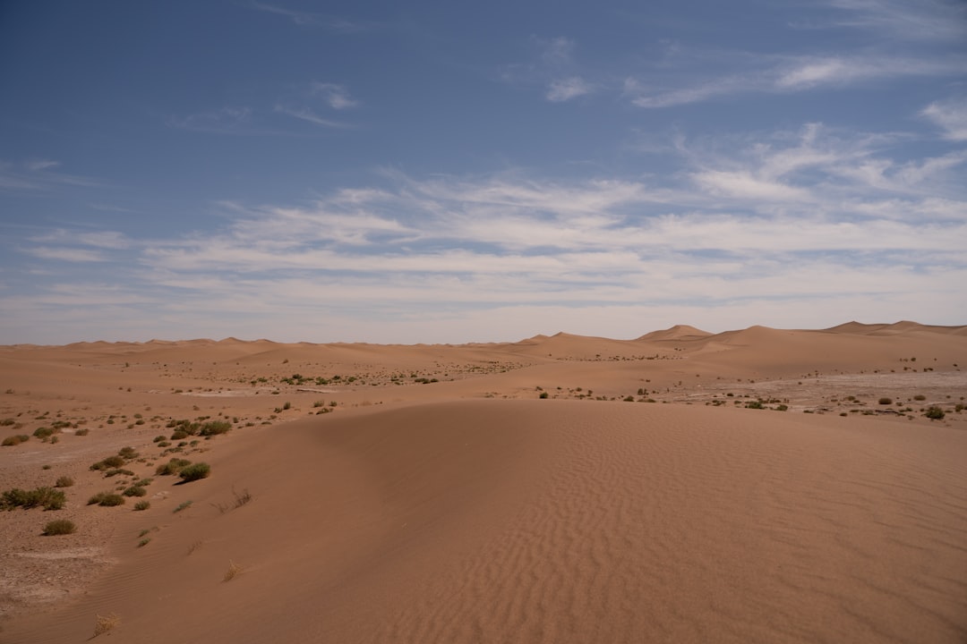 Die Wüste im Traum: Eine tiefenpsychologische und neurowissenschaftliche Analyse