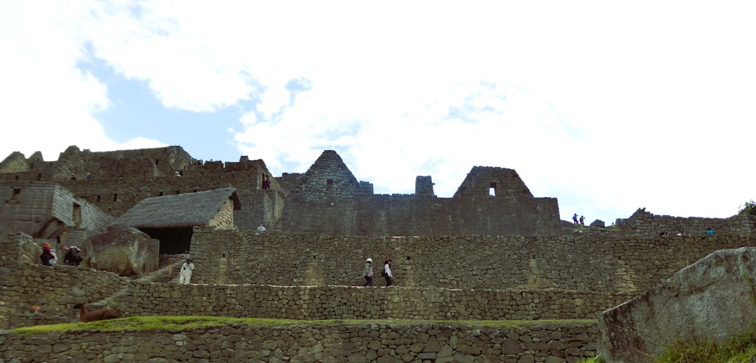 Das Lama im Traum: Eine psychoanalytische und neurowissenschaftliche Erkundung